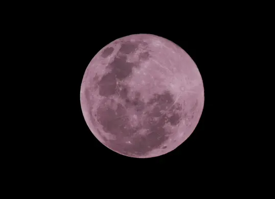 Ilustrasi - Fenomena Pink Moon dapat dilihat pada 1 dan 2 April 2026. (Sumber: Pexels/Luis Felipe)
