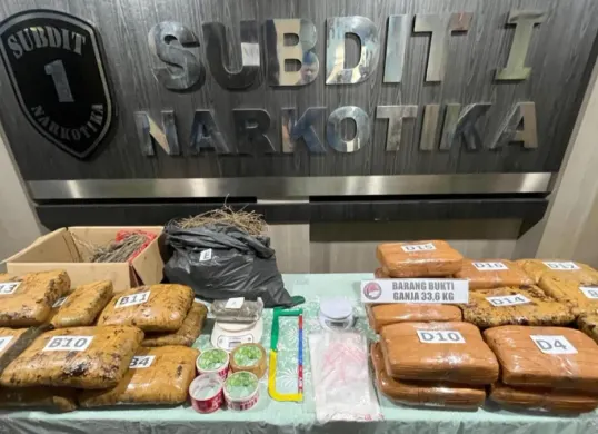 Direktorat Reserse Narkoba Polda Metro Jaya menyita narkotika jenis ganja dengan total berat mencapai 33,6 kilogram dari dua terduga pengedar. (Sumber: Polda Metro Jaya)