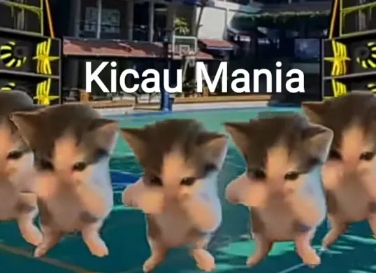 Arti istilah Kicau Mania yang viral di media sosial. (Sumber: TikTok/Memecing)
