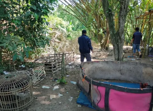 Petugas Polsek Carenang mengumpulkan barang bukti di arena sabung ayam Kampung Bojong Samar, Desa Mekarsari, Kecamatan Carenang, Kabupaten Serang, yang digerebeg pada Minggu sore, 26 April 2026. (Sumber: Polsek Carenang)