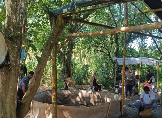 Petugas Polsek Carenang mengumpulkan barang bukti di lokasi sabung ayam di Kampung Bojong Samar, Desa Mekarsari, Kecamatan Carenang, Kabupaten Serang. (Sumber: Polsek Carenang)