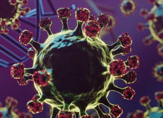 Ilustrasi. Kemenkes membuat edaran kewaspadan terhadap penularan virus Nipah. (Sumber: Freepik/@freepik)