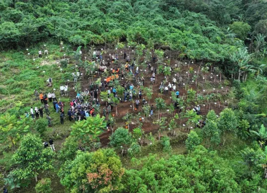 Lahan hutan kota di wilayah Cisarua, Kabupaten Bogor. (Sumber: Dok. Pemkab Bogor)