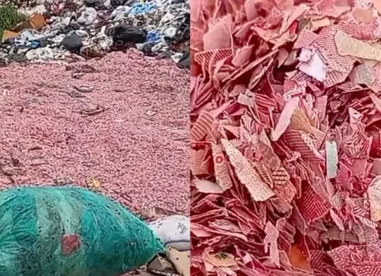 Viral temuan potongan kertas mirip cacahan uang di TPS liar Bekasi. (Sumber: tangkapan layar)