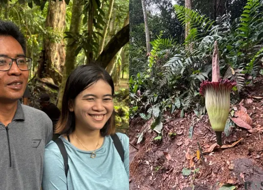 Warga antusias lihat mekarnya bunga bangkai langka di KRB, Jumat 6 Februari 2026. (Sumber: Poskota/Giffar Rivana)