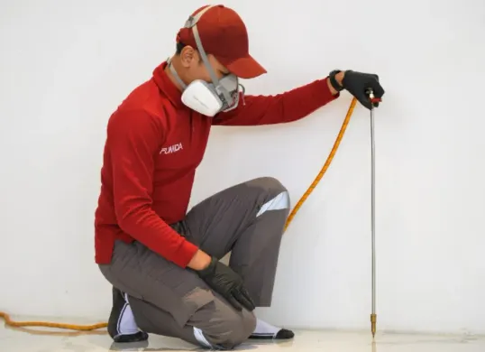 Pembasmian Rayap Fumida. (Sumber: Fumida)