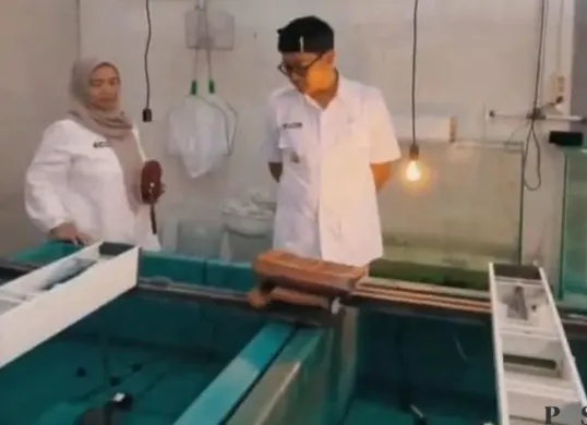 Wakil Walikota Cimahi, Adhitia Yudhistira, kunjungi Balai Benih Ikan (BBI) di Kelurahan Cibabat, Kecamatan Cimahi Utara, Senin 16 Februari 2026. (Sumber: Poskota/Gatot Poedji Utomo)