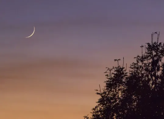 Kemenag menggelar sidang Isbat untuk penentuan awal Ramadhan hari ini, Selasa, 17 Februari 2026. (Sumber: Freepik/@wirestock)