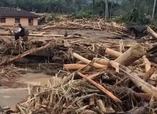 Ilustrasi kayu gelondongan yang terseret arus banjir di Aceh, Sumatra. (Sumber: Instagram)