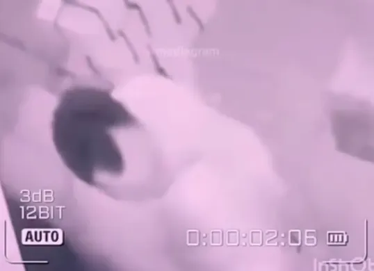 Viral video mesum pegawai RSUD dr Loekmono Hadi Kudus (Sumber: Instagram/@mediagramindo)