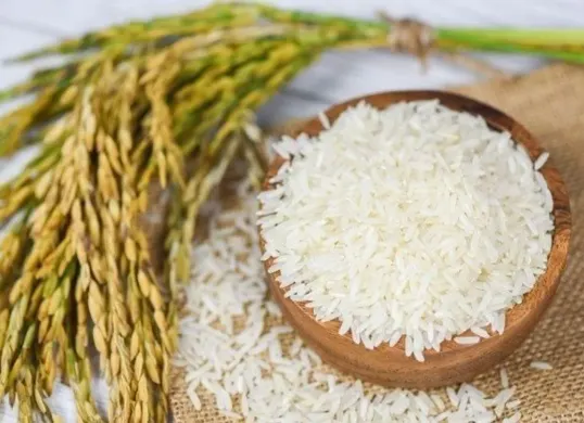 Pemerintah Lanjutkan Bansos Beras 2026 Sebanyak 720 Ribu Ton, Ini Jadwal dan Tata Cara Pengambilannya (Sumber: Pinterest)