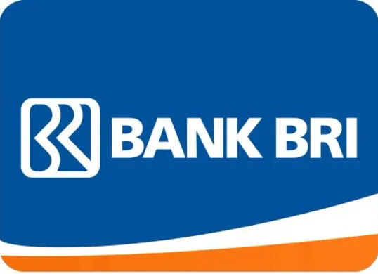 Mengajukan Kredit Usaha Rakyat (KUR) sebagai solusi pembiayaan usaha berkelanjutan. (Sumber: Dok/BRI)