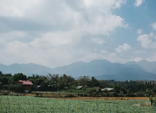 Ilustrasi lahan warga. (Sumber: freepik)