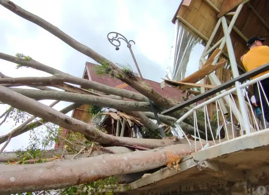 Pohon beringin tua ambruk menimpa Warung, di Kecamatan Padalarang, Kabupaten Bandung Barat, Kamis 22 Januari 2026. (Sumber: Poskota/Gatot Poedji Utomo)