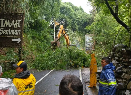 Petugas mengevakuasi pohon bambu yang tumbang akibat bencana longsor, di kawasan Jalan Kolonel Masturi, Bandung Barat. (Sumber: Poskota/Gatot Poedji Utomo)