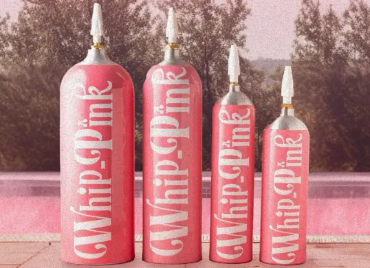 Whip Pink yang belakangan menjadi perbincangan hangat menyusul kabar meninggalnya Lula Lahfah, kekasih musisi Reza Arap. (Sumber: Instagram/@whippink.co)