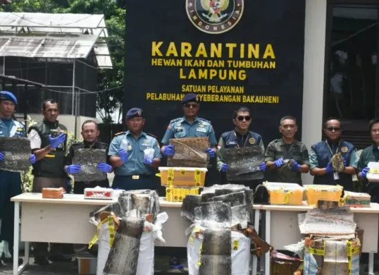 Satgas BKO TNI AL ASDP Bakauheni menggagalkan pengiriman ilegal ratusan lembar kulit satwa dan puluhan ekor kura-kura dilindungi di Sea Port Pelabuhan ASDP Bakauheni, Lampung Selatan. (Sumber: Dok. TNI AL)