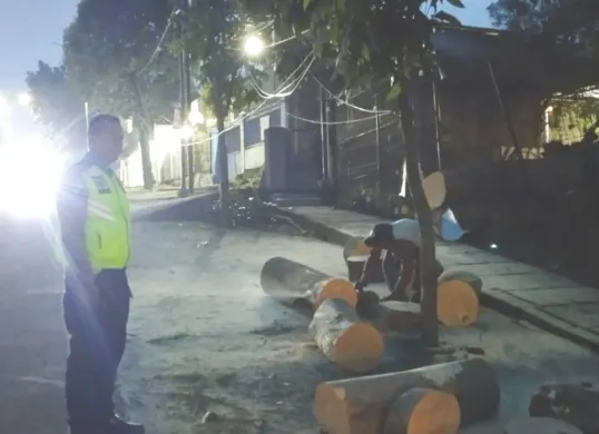 Petugas lantas Polsek Sukmajaya telah memastikan situasi lalu lintas di Jalan KSU kembali normal setelah batang pohon tumbang sudah dibersihkan. (Sumber: Polsek Sukmajaya)