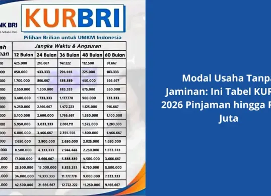 Tabel Angsuran Pinjaman Rp10–Rp100 Juta bagi Pelaku UMKM (Sumber: Istimewa)