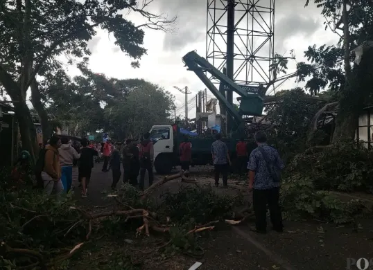 Petugas BPBD Kota Cimahi mengevakuasi material pohon tumbang, Jumat 6 Maret 2026. (Sumber: Poskota/Gatot Poedji Utomo)