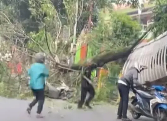Tangkapan layar Medos, tiga pohon trembesi tumbang di Jalan Pakubuwono VI, Kelurahan Gunung, Kecamatan Kebayoran Baru, Jakarta Selatan, Rabu, 11 Maret 2026. (Sumber: Istimewa)