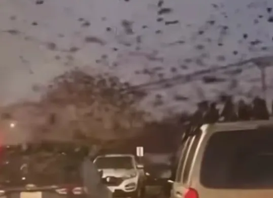 Penampakan serbuan burung gagak di langit Kota Tel Aviv, Israel. (Sumber: Tangkapan layar Instagram/@iran_officialnews)