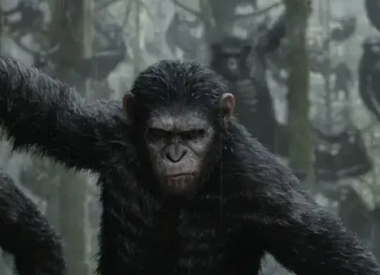 Matt Shakman resmi ditunjuk sebagai sutradara film terbaru Planet of the Apes yang akan menghadirkan babak baru konflik manusia dan kaum kera. (Sumber: Dok/Planet of The Apes)