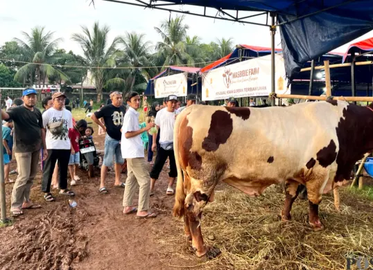 Kondisi salah satu lokasi penjualan hewan kurban sapi menjelang perayaan Iduladha di kawasan Palmerah, Jakarta Barat, Minggu, 17 Mei 2026. (Sumber: Poskota/Pandi Ramedhan)