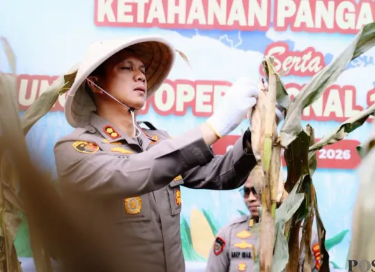 Kapolres Cimahi, AKBP Niko N. Adi Putra turut memanen jagung di Bandung Barat. (Sumber: Poskota/Gatot Poedji Utomo)