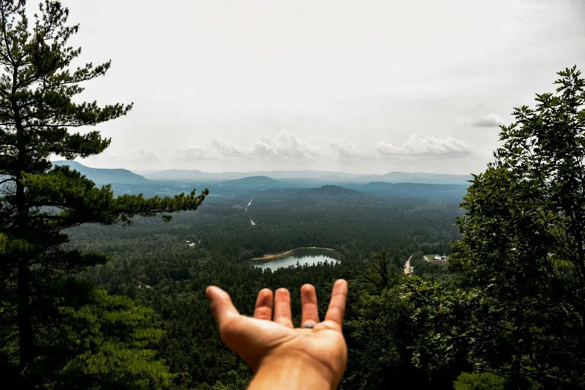 Peringatan Hari Bumi 22 April. (Sumber: Unsplash/Drew Saurus)