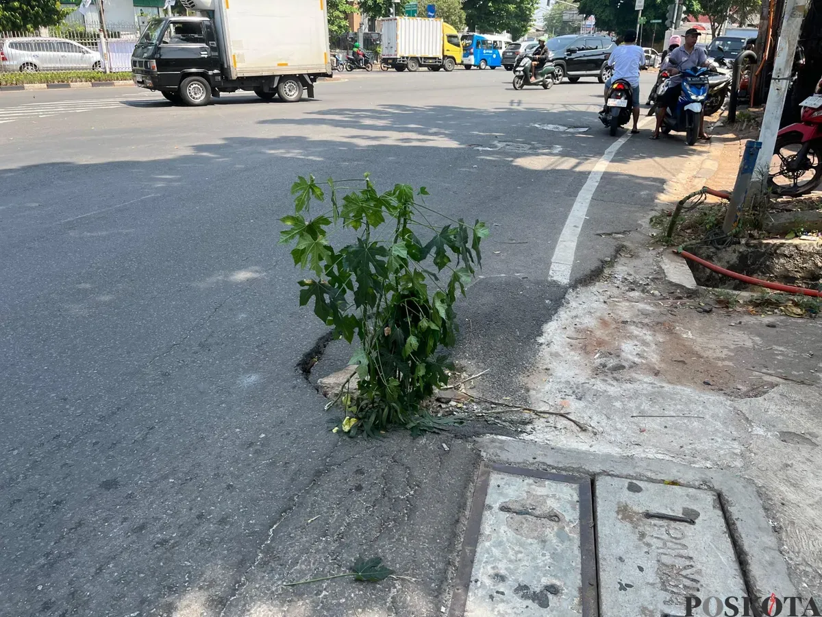 Kondisi jalan berlubang di Jalan Duri Raya, Duri Kepa, Kebon Jeruk, Jakbar, dikeluhkan warga. (Sumber: Poskota/Pandi Ramedhan)