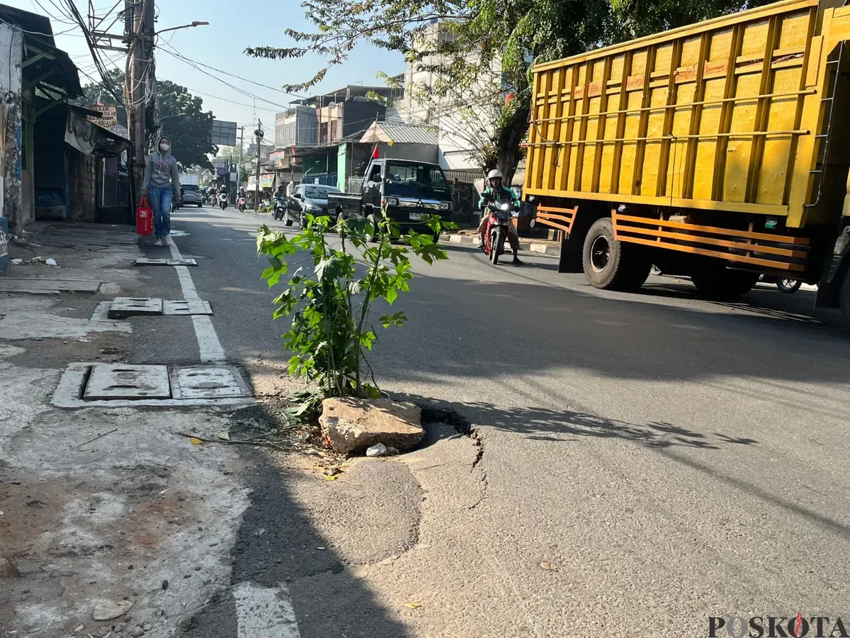 Warga memasang ranting pohon di jalan berlubang, Jalan Duri Raya, Duri Kepa, Kebon Jeruk, Jakbar. (Sumber: Poskota/Pandi Ramedhan)