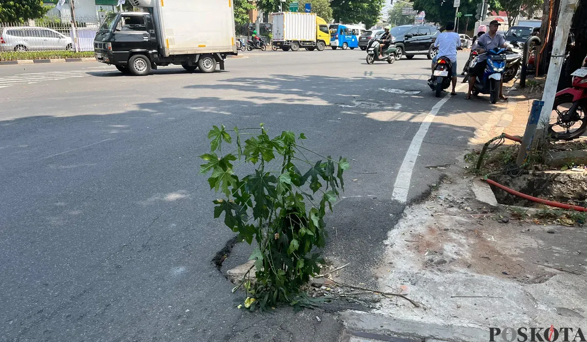 Kondisi jalan berlubang di Jalan Duri Raya, Duri Kepa, Kebon Jeruk, Jakarta Barat, dikeluhkan warga. (Sumber: POSKOTA | Foto: Pandi Ramedhan)