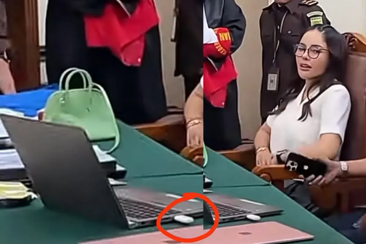 Isi bukti rekaman dalam USB yang diserahkan Nikita Mirzani jadi sorotan publik. (Sumber: TikTok/@bella_3915)