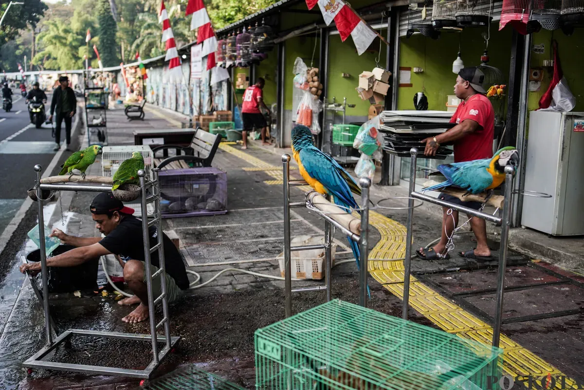 Pedagang mengemas barang jualanya di Kios Pasar Hewan Barito, Jakarta Selatan, Minggu, 3 Agustus 2025. (Sumber: Poskota/Bilal Nugraha Ginanjar)