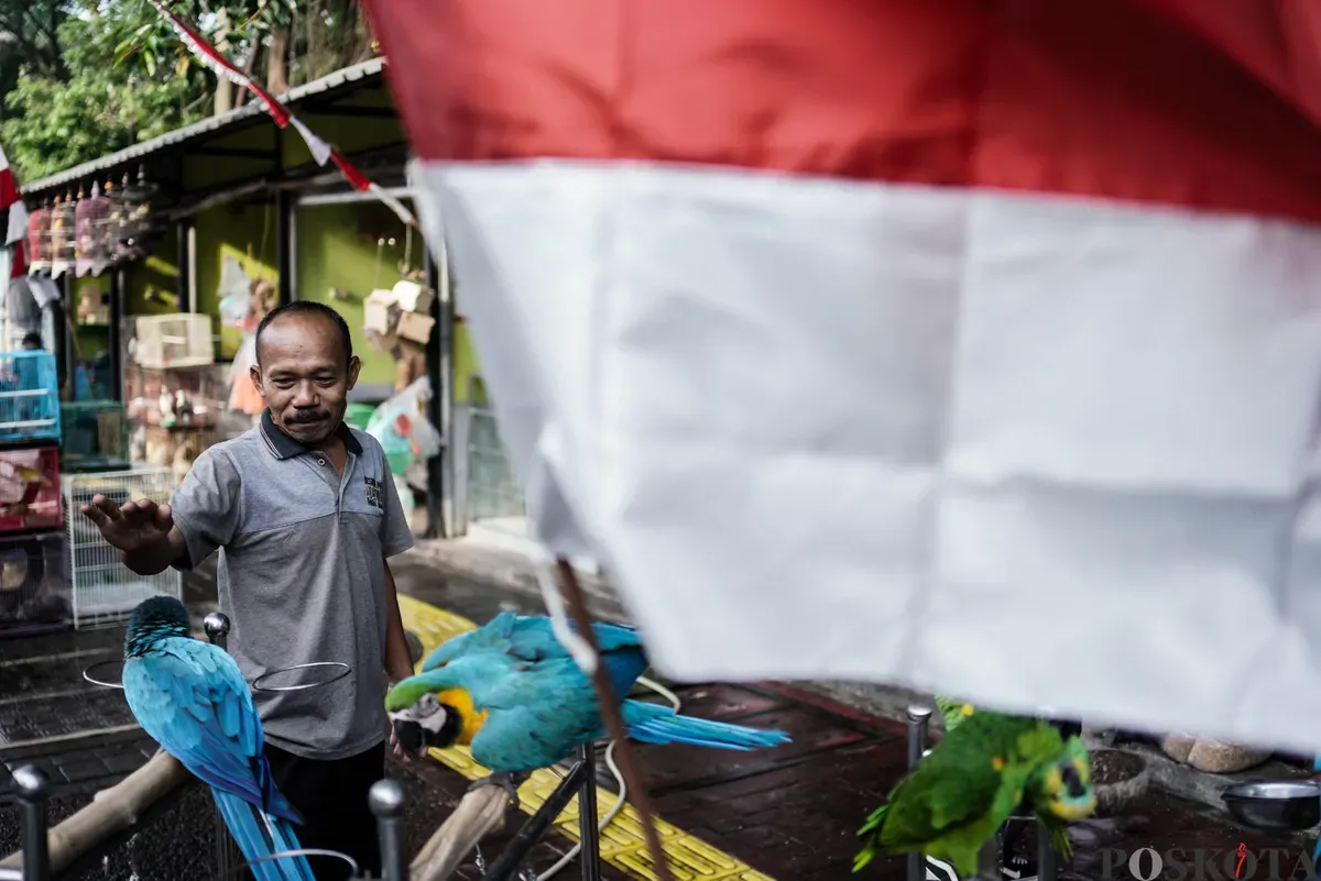 Pedagang mengemas barang jualanya di Kios Pasar Hewan Barito, Jakarta Selatan, Minggu, 3 Agustus 2025. (Sumber: Poskota/Bilal Nugraha Ginanjar)