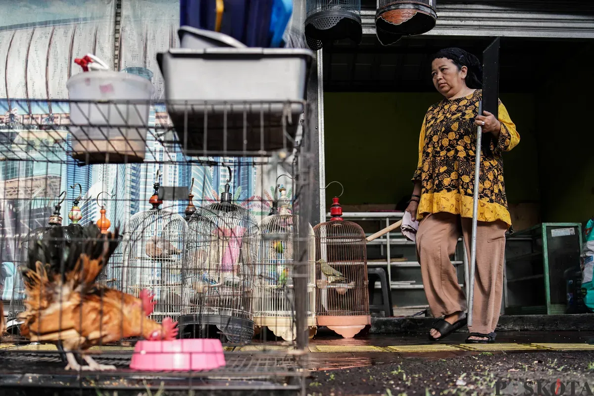 Pedagang mengemas barang jualanya di Kios Pasar Hewan Barito, Jakarta Selatan, Minggu, 3 Agustus 2025. (Sumber: Poskota/Bilal Nugraha Ginanjar)