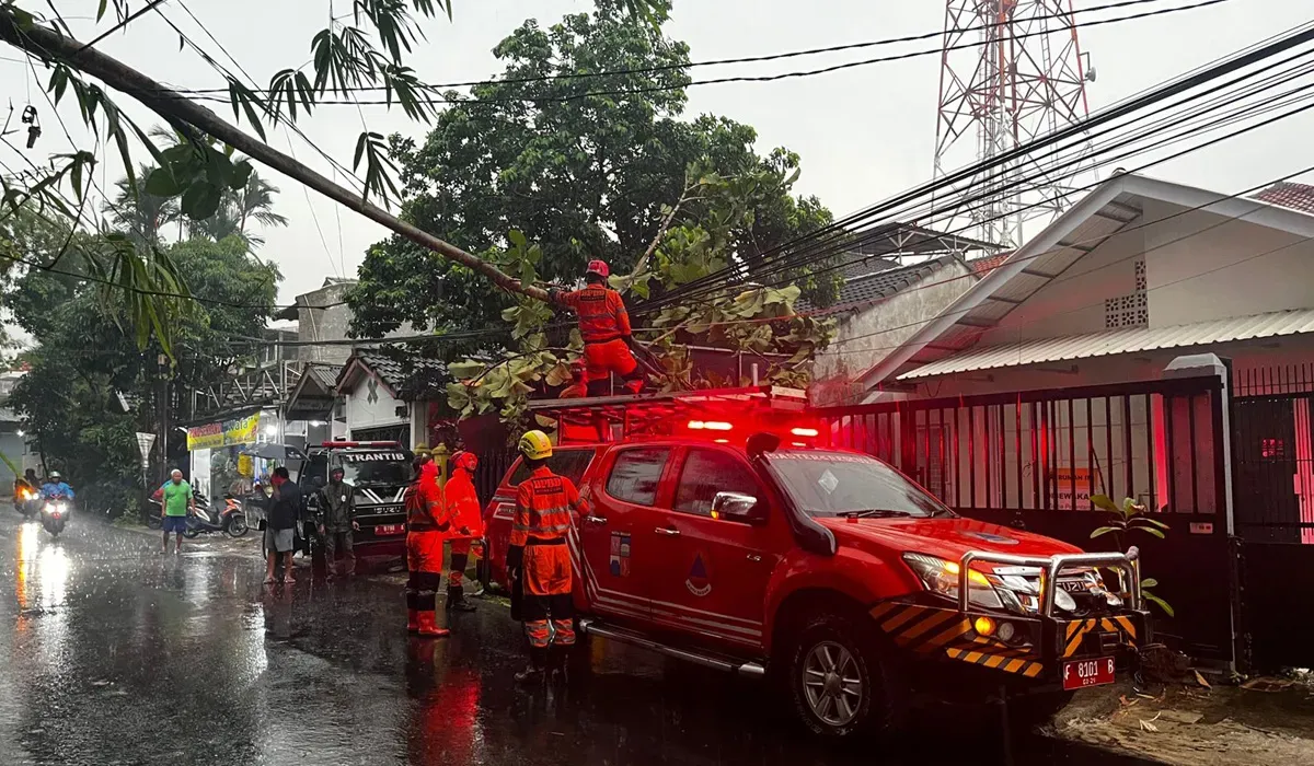 Petugas mengevakuasi pohon tumbang di Jalan Gagalur, Kecamatan Bogor Utara, Kota Bogor, Minggu 3 Agustus 2025. (Sumber: Dok. BPBP Kota Bogor)