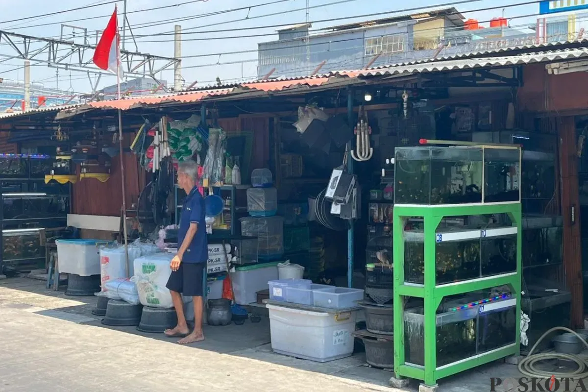 Situasi pedagang Lokasi Sementara (Loksem) Bursa Ikan Hias Kartini, Gunung Sahari, Jakarta Pusat, Rabu, 6 Agustus 2025. (Sumber: Poskota/Muhammad Tegar Jihad)
