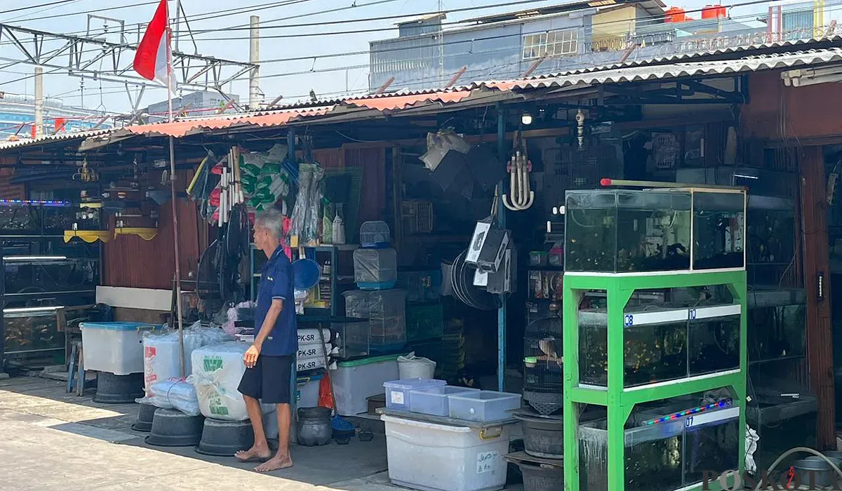 Situasi di lokasi sementara Bursa Ikan Hias Kartini, Gunung Sahari, Jakarta Pusat. (Sumber: POSKOTA | Foto: M Tegar Jihad)