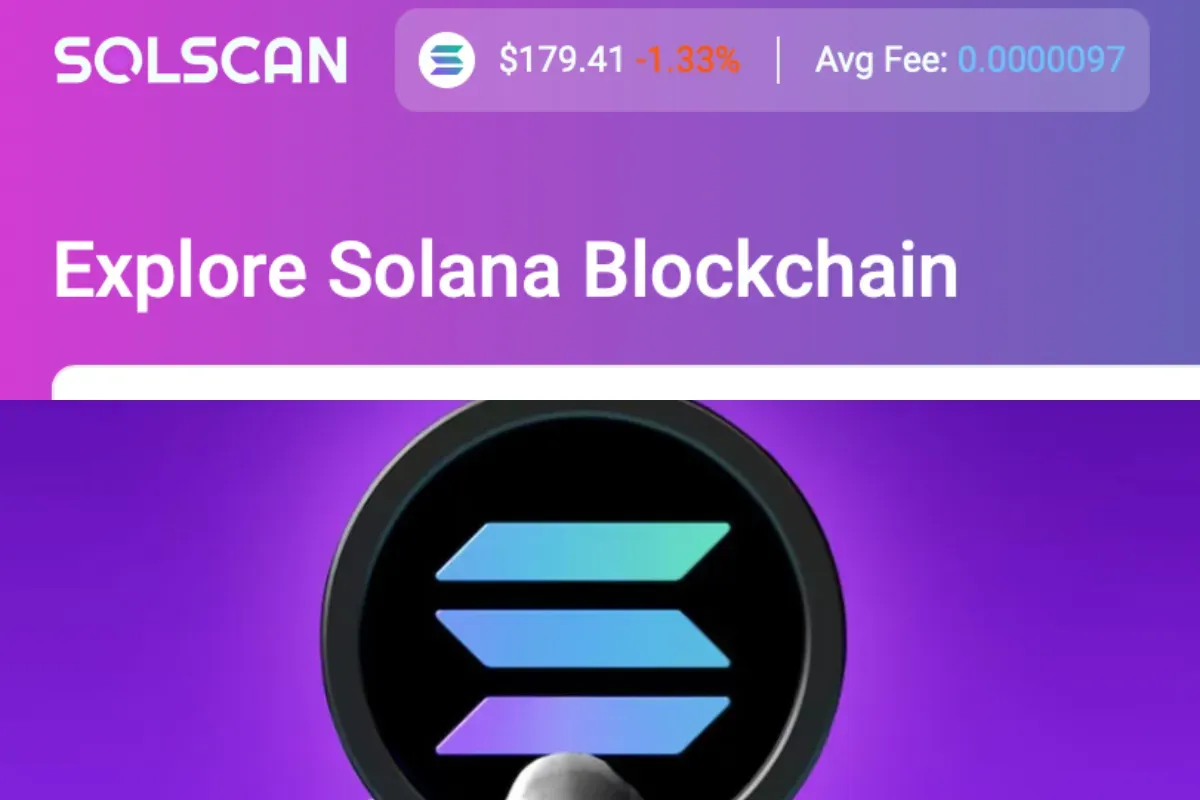 Ilustrasi cara menggunakan Solscan. (Sumber: Solscan)
