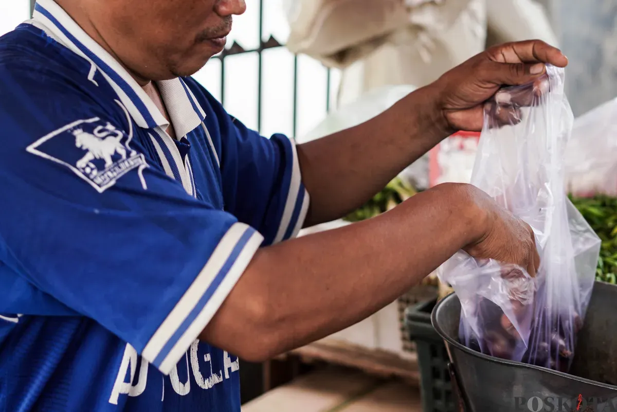 Pedagang jengkol menata buah jengkol di Pasar Induk Kramat Jati dan Pasar Kebayoran Lama, Jakarta, Senin, 11 Agustus 2025. (Sumber: Poskota/Bilal Nugraha Ginanjar)