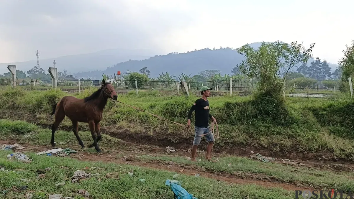 Kondisi lokasi Pacuan Kuda Cikidang, Desa Kayuambon, Lembang, Kabupaten Bandung Barat. (Sumber: POSKOTA | Foto: Gatot Poedji Utomo)