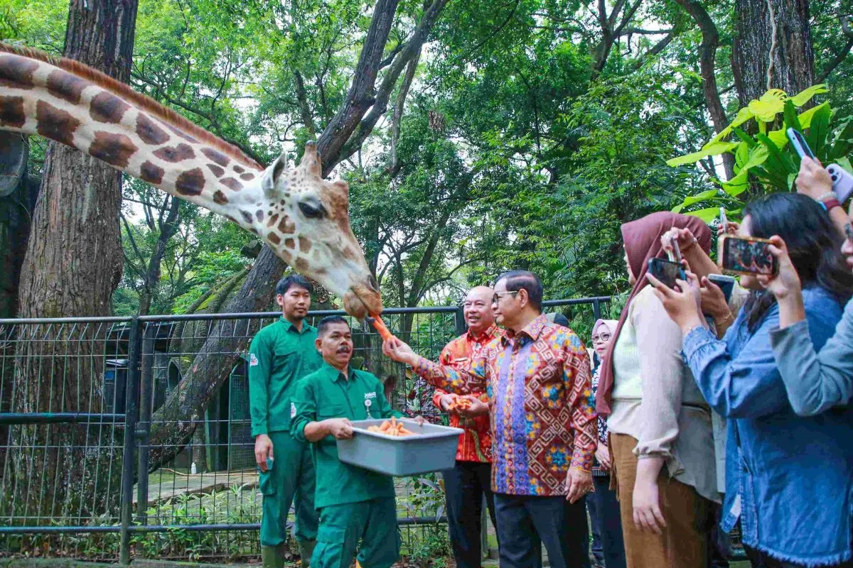 Gubernur Jakarta, Pramono Anung meninjau Taman Margasatwa Ragunan, Jakarta Selatan, Kamis, 14 Agustus 2025. (Sumber: Dok. Kominfotik Pemprov Jakarta)