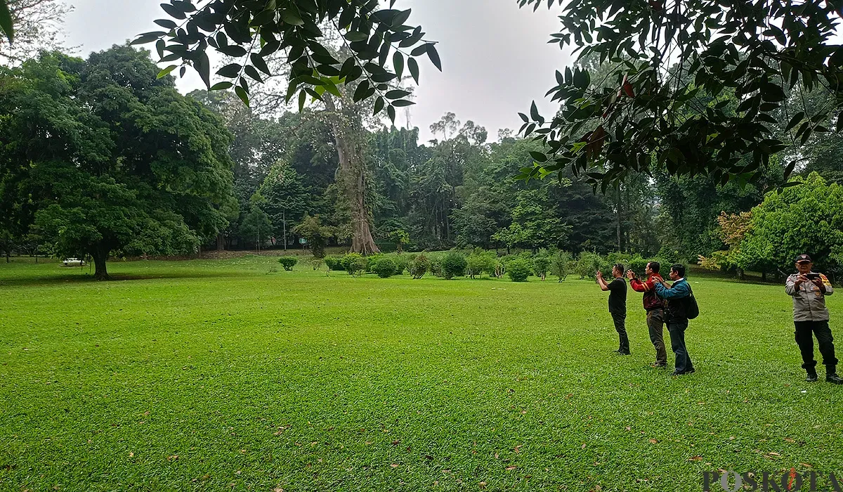 Capellen Avenue, lokasi yang digunakan event konten kreator Endang Yustika bersama kelompoknya di Kebun Raya Bogor. (Sumber: POSKOTA | Foto: Giffar Rivana)