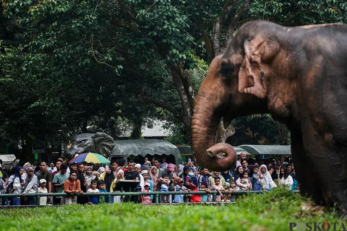 Pengunjung memadati area kandang gajah di Taman Margasatwa Ragunan, Jakarta, saat libur panjang. Wacana pembukaan Ragunan pada malam hari masih dalam tahap kajian. (Sumber: Poskota/Bilal Nugraha Ginanjar)
