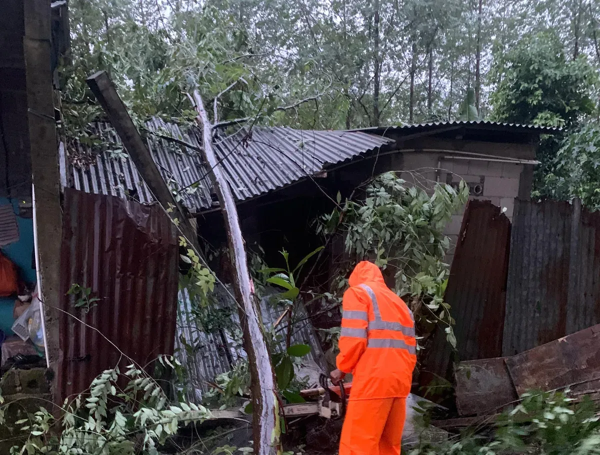 Petugas BPBD mengevakuasi pohon tumbang yang menimpa rumah warga di Cibinong, Kabupaten Bogor. (Sumber: BPBD)