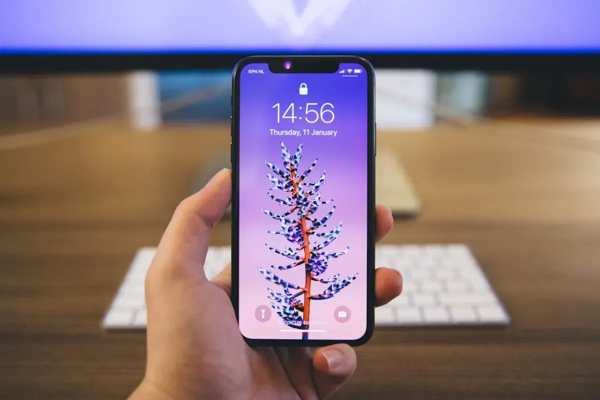 Cek berikut ini beberapa perbedaan iPhone inter dan iBox. (Sumber: Pexels/Rob Eradus)