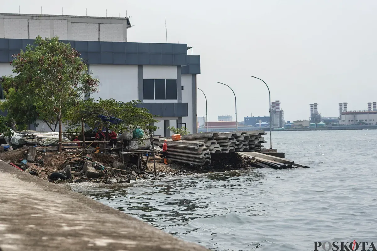Pekerja membersihkan pesisir tanggul Pantai Mutiara, Penjaringan, Jakarta Utara, Senin, 1 Desember 2025. (Sumber: Poskota/Bilal Nugraha Ginanjar)