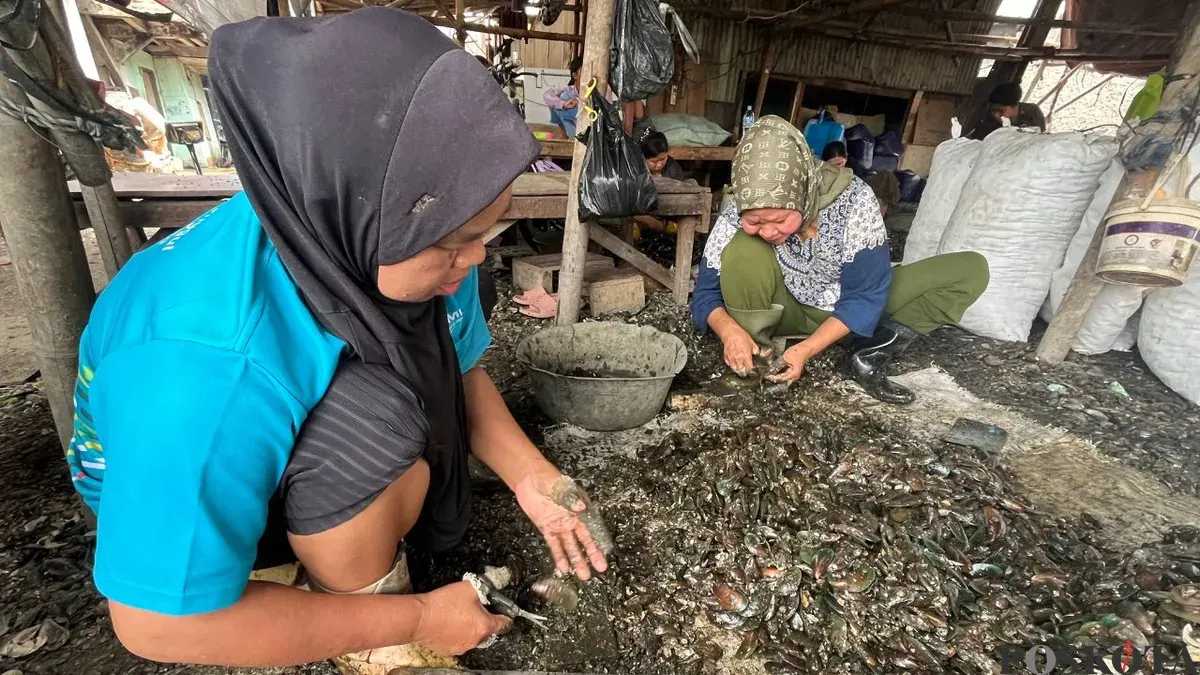 Aktivitas pengupasan cangkang kerang hijau di kawasan Muara Angke, Penjaringan, Jakarta Utara. (Sumber: Poskota/Pandi Ramedhan)